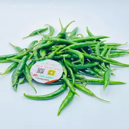 Indian Hot Pepper